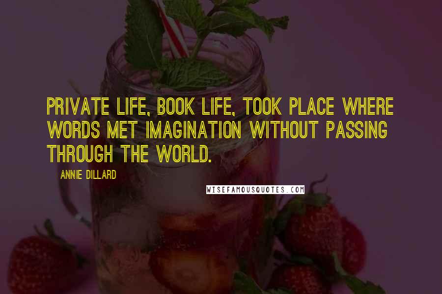 Annie Dillard Quotes: Private life, book life, took place where words met imagination without passing through the world.