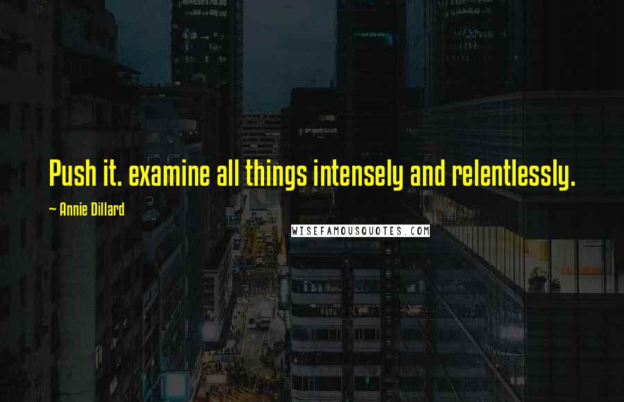 Annie Dillard Quotes: Push it. examine all things intensely and relentlessly.