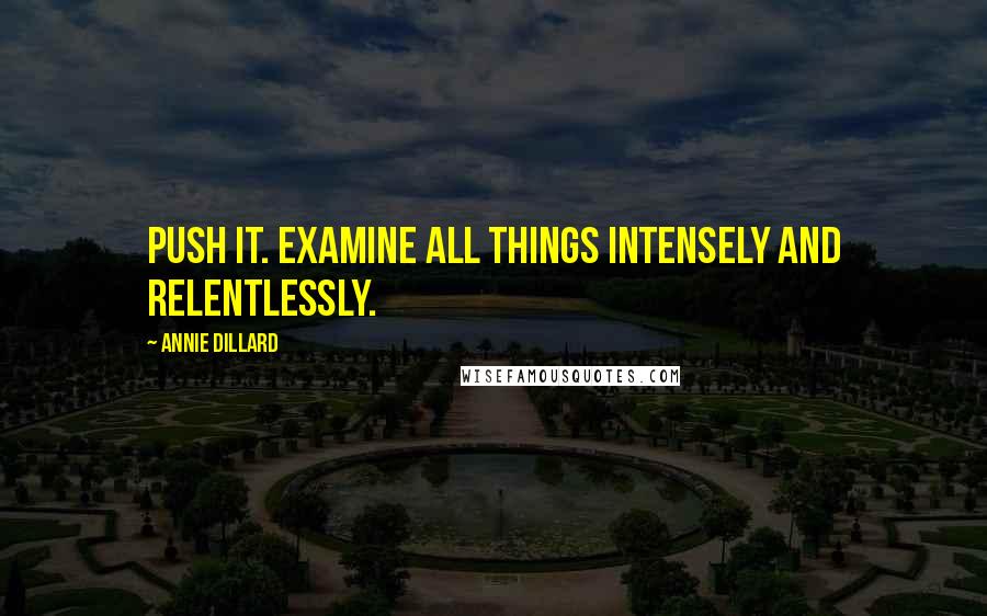 Annie Dillard Quotes: Push it. examine all things intensely and relentlessly.