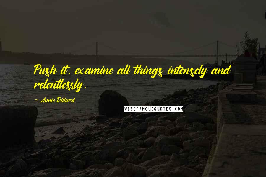 Annie Dillard Quotes: Push it. examine all things intensely and relentlessly.