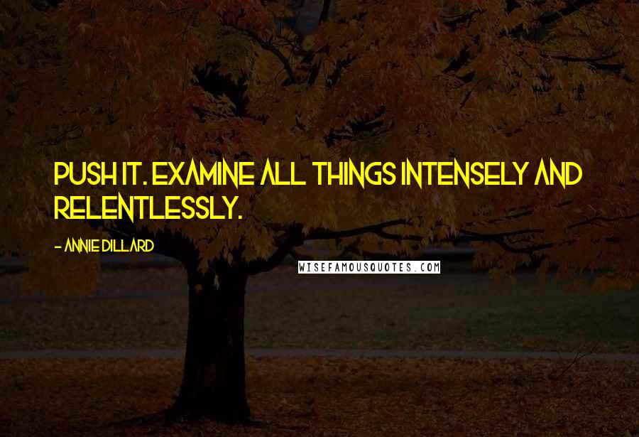 Annie Dillard Quotes: Push it. examine all things intensely and relentlessly.