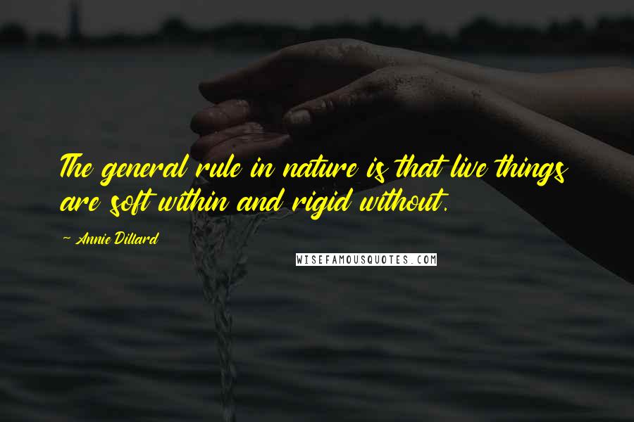 Annie Dillard Quotes: The general rule in nature is that live things are soft within and rigid without.