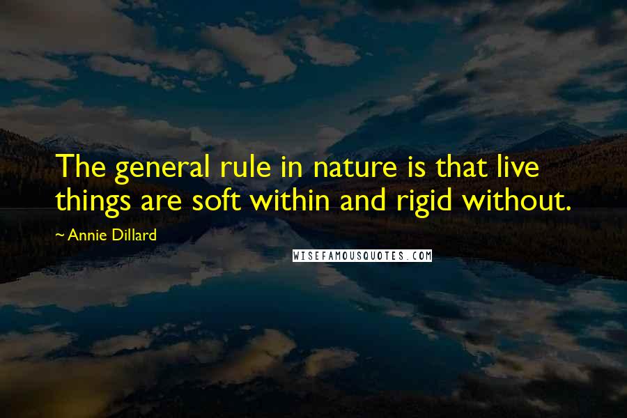 Annie Dillard Quotes: The general rule in nature is that live things are soft within and rigid without.