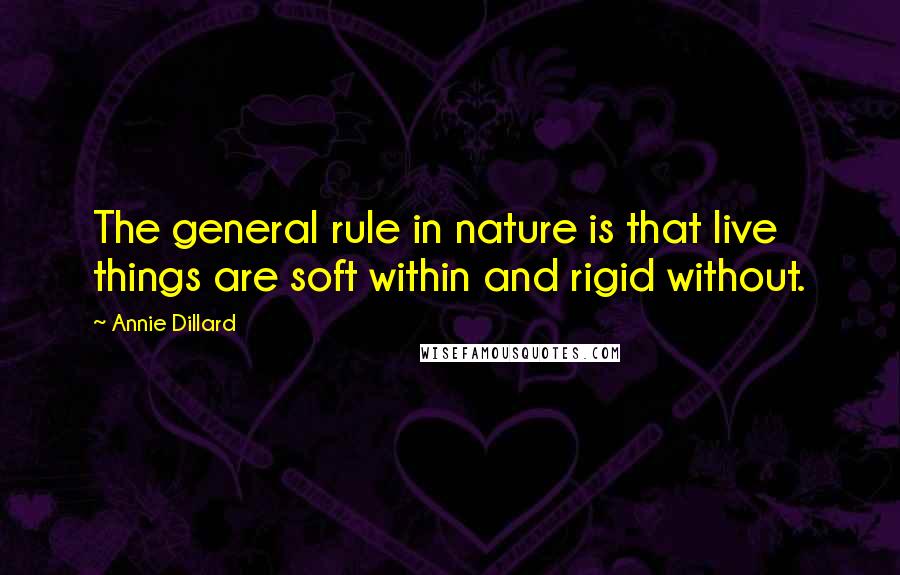 Annie Dillard Quotes: The general rule in nature is that live things are soft within and rigid without.