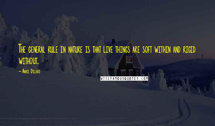 Annie Dillard Quotes: The general rule in nature is that live things are soft within and rigid without.