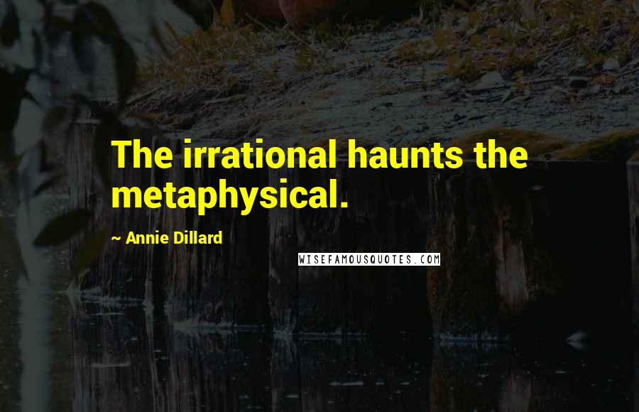 Annie Dillard Quotes: The irrational haunts the metaphysical.