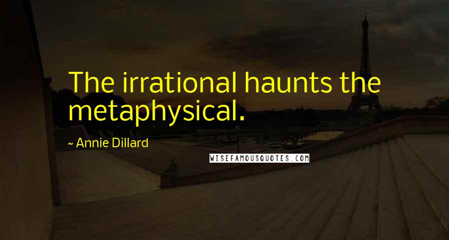 Annie Dillard Quotes: The irrational haunts the metaphysical.