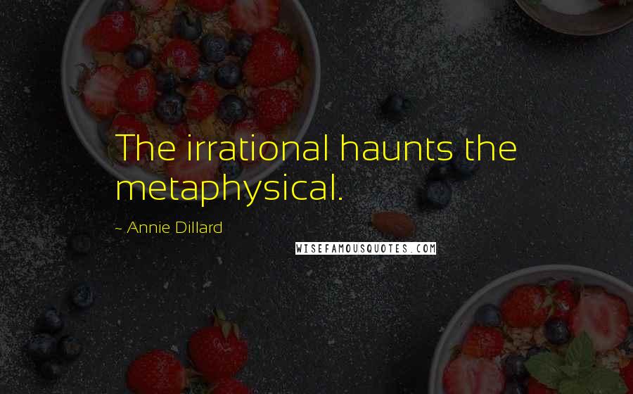 Annie Dillard Quotes: The irrational haunts the metaphysical.