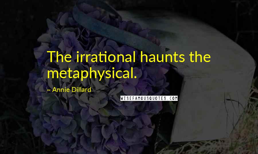 Annie Dillard Quotes: The irrational haunts the metaphysical.