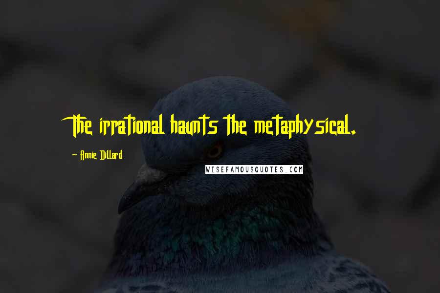 Annie Dillard Quotes: The irrational haunts the metaphysical.