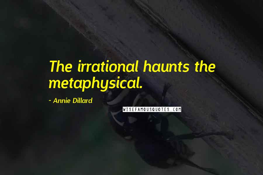 Annie Dillard Quotes: The irrational haunts the metaphysical.