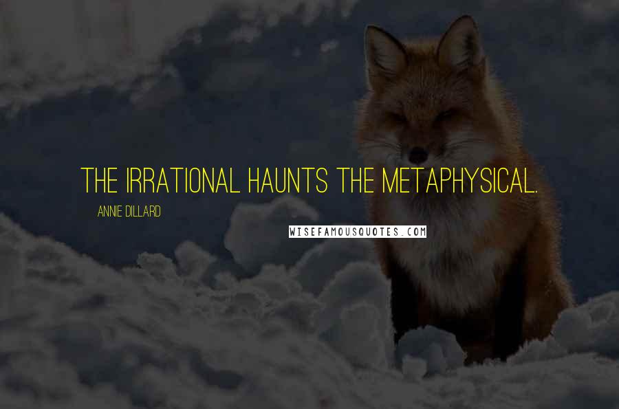 Annie Dillard Quotes: The irrational haunts the metaphysical.