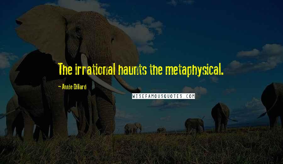 Annie Dillard Quotes: The irrational haunts the metaphysical.
