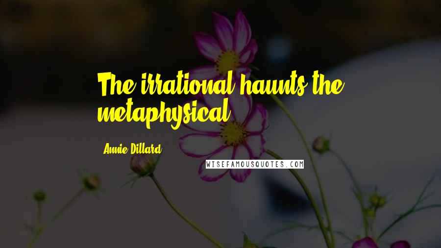 Annie Dillard Quotes: The irrational haunts the metaphysical.