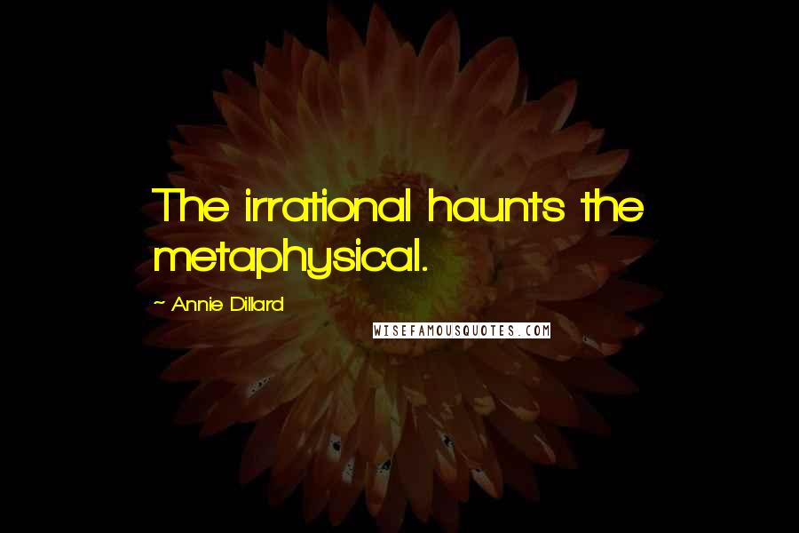 Annie Dillard Quotes: The irrational haunts the metaphysical.