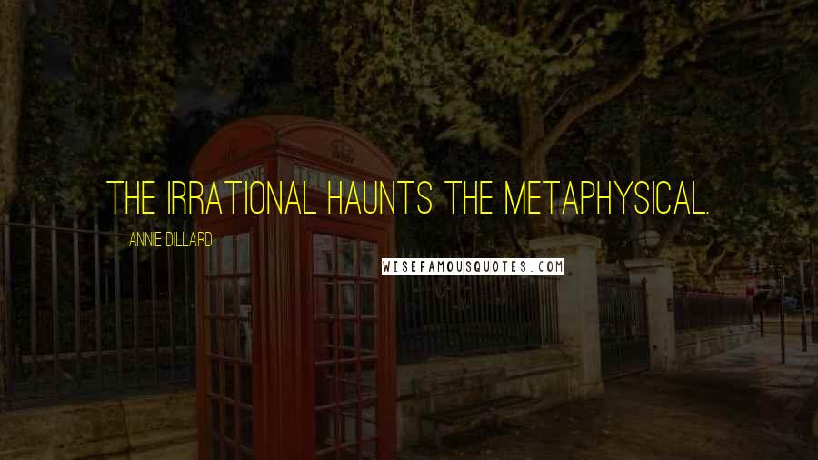 Annie Dillard Quotes: The irrational haunts the metaphysical.