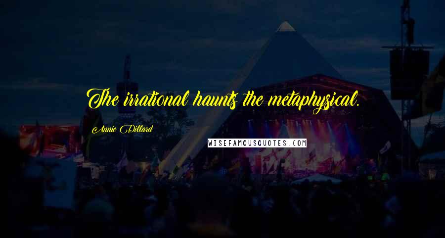 Annie Dillard Quotes: The irrational haunts the metaphysical.