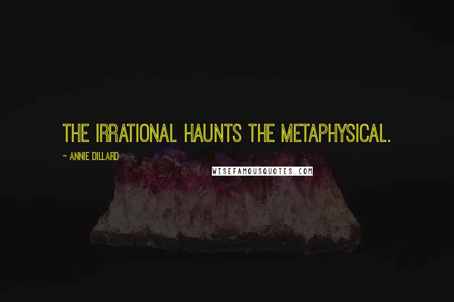 Annie Dillard Quotes: The irrational haunts the metaphysical.