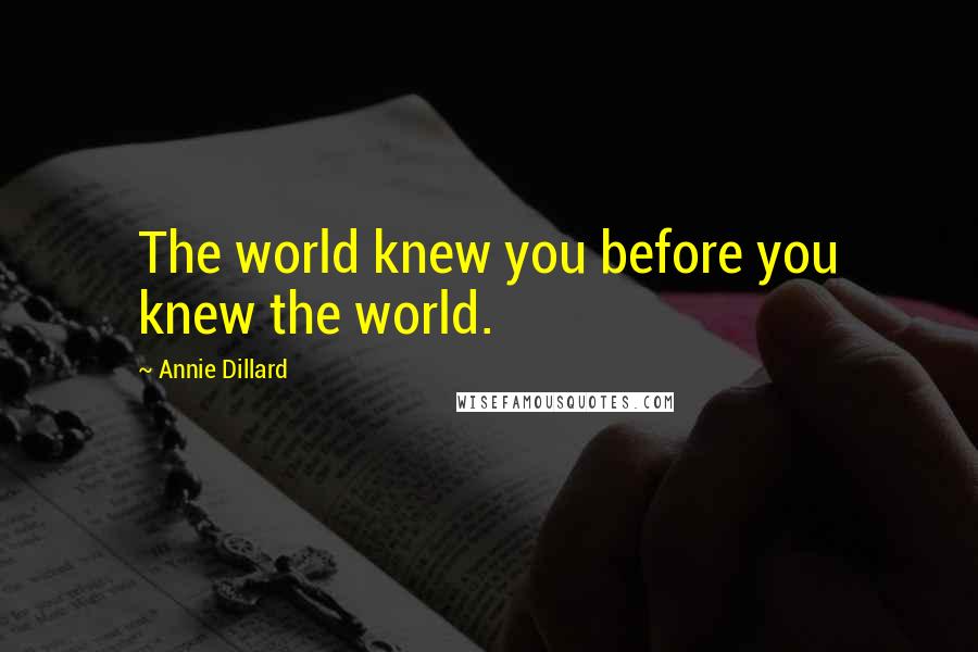 Annie Dillard Quotes: The world knew you before you knew the world.