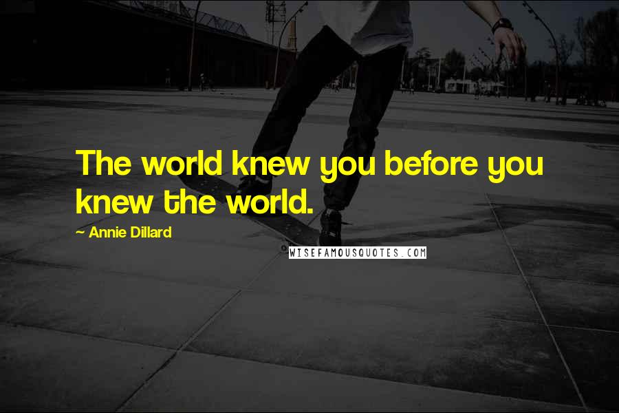 Annie Dillard Quotes: The world knew you before you knew the world.