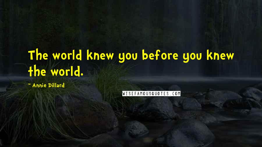 Annie Dillard Quotes: The world knew you before you knew the world.