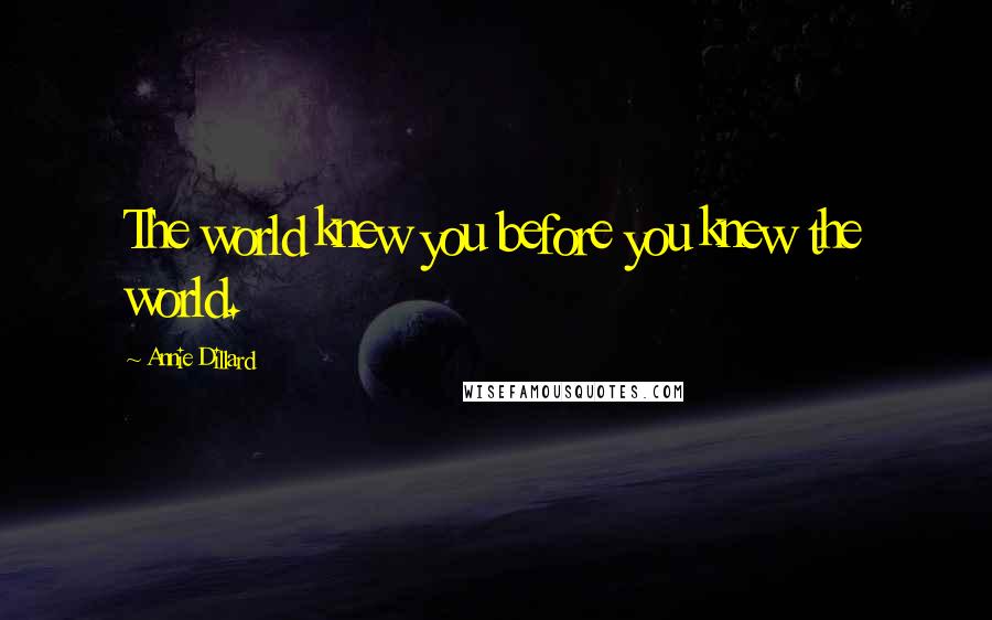 Annie Dillard Quotes: The world knew you before you knew the world.