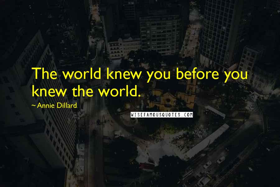 Annie Dillard Quotes: The world knew you before you knew the world.