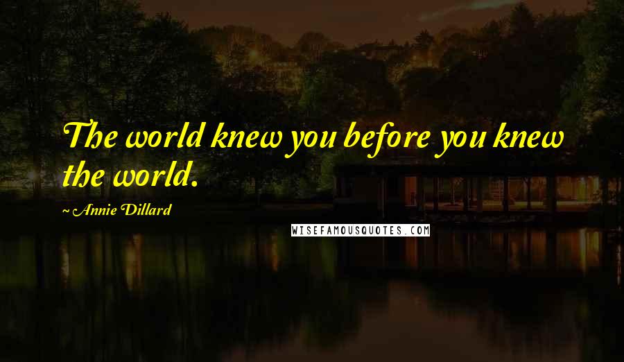 Annie Dillard Quotes: The world knew you before you knew the world.