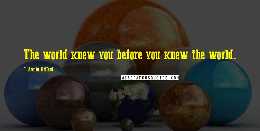 Annie Dillard Quotes: The world knew you before you knew the world.