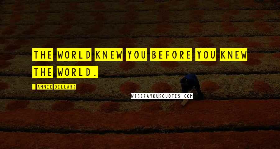 Annie Dillard Quotes: The world knew you before you knew the world.