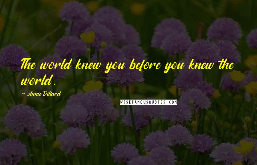 Annie Dillard Quotes: The world knew you before you knew the world.