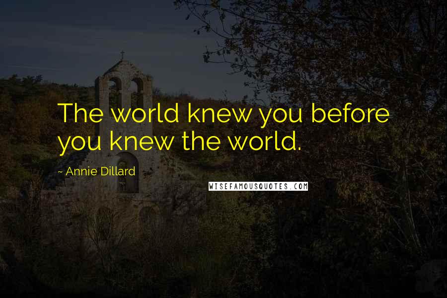 Annie Dillard Quotes: The world knew you before you knew the world.