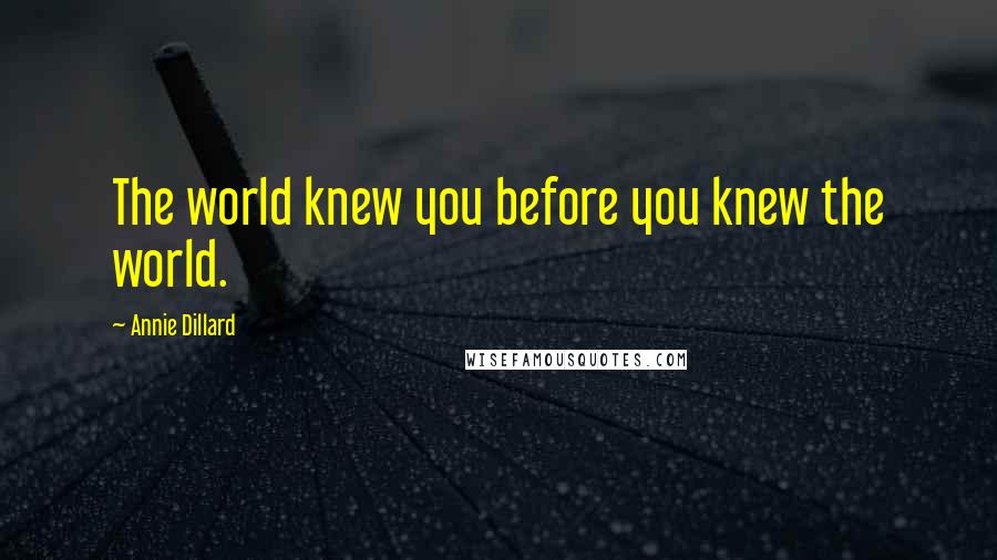 Annie Dillard Quotes: The world knew you before you knew the world.