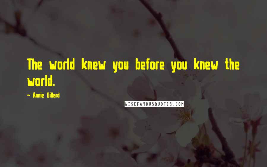 Annie Dillard Quotes: The world knew you before you knew the world.