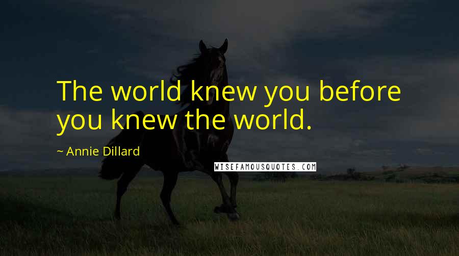 Annie Dillard Quotes: The world knew you before you knew the world.