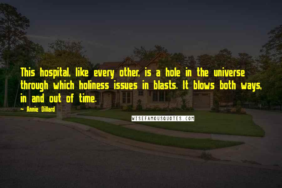 Annie Dillard Quotes: This hospital, like every other, is a hole in the universe through which holiness issues in blasts. It blows both ways, in and out of time.