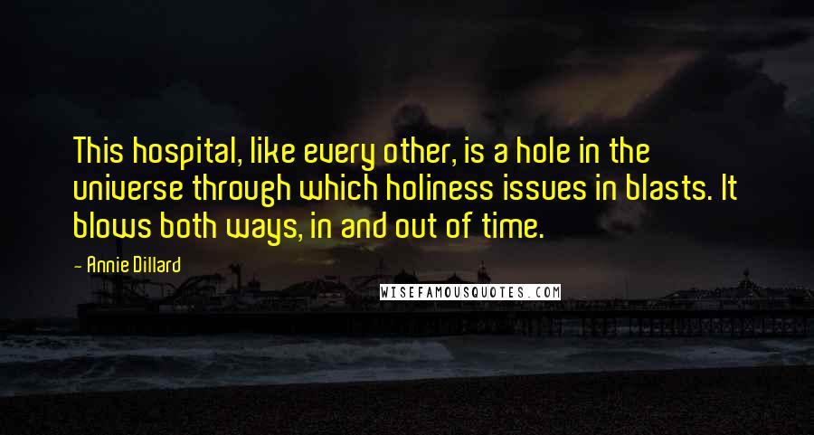 Annie Dillard Quotes: This hospital, like every other, is a hole in the universe through which holiness issues in blasts. It blows both ways, in and out of time.
