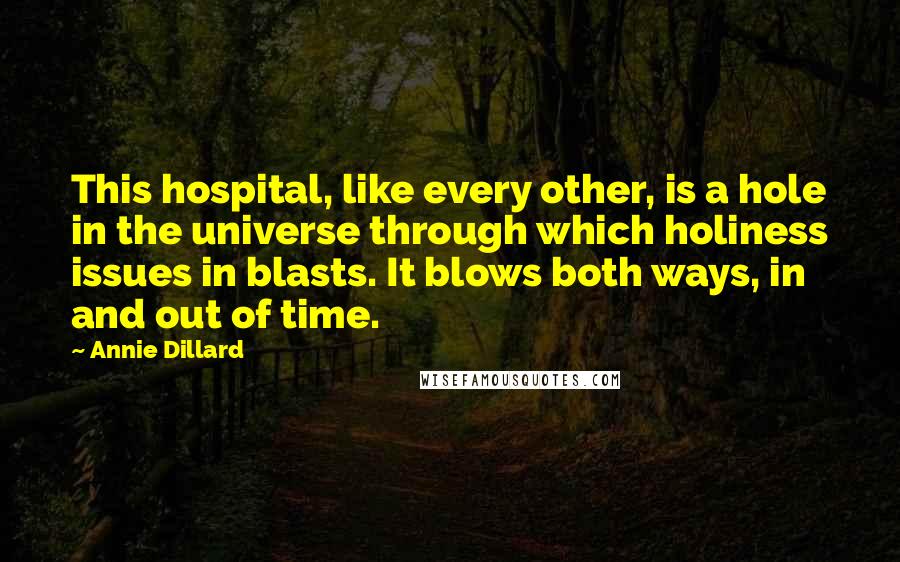 Annie Dillard Quotes: This hospital, like every other, is a hole in the universe through which holiness issues in blasts. It blows both ways, in and out of time.