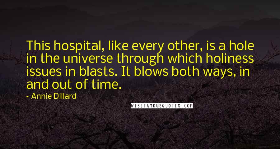 Annie Dillard Quotes: This hospital, like every other, is a hole in the universe through which holiness issues in blasts. It blows both ways, in and out of time.