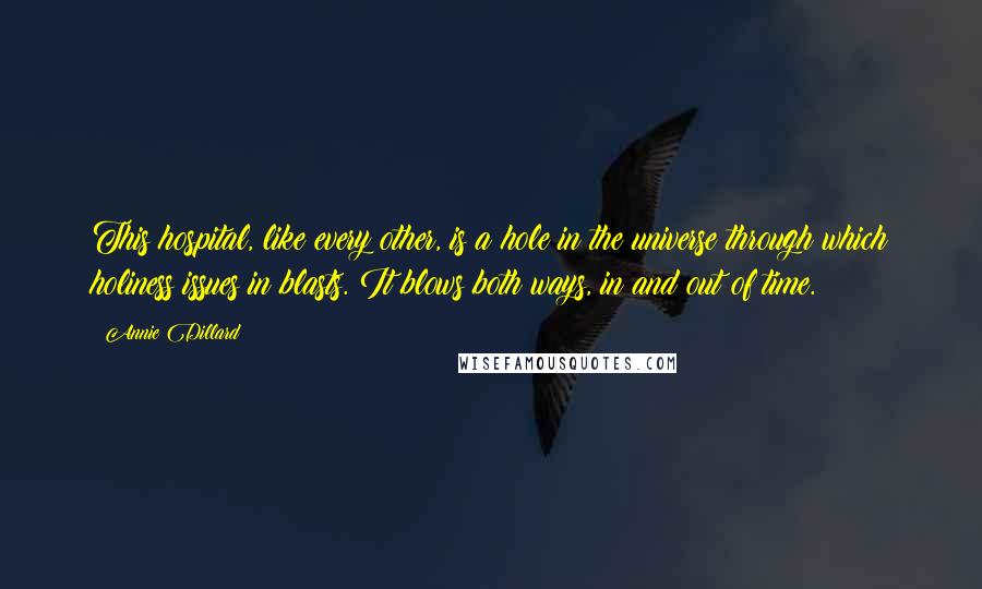 Annie Dillard Quotes: This hospital, like every other, is a hole in the universe through which holiness issues in blasts. It blows both ways, in and out of time.