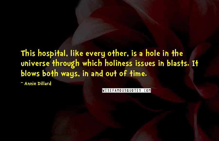 Annie Dillard Quotes: This hospital, like every other, is a hole in the universe through which holiness issues in blasts. It blows both ways, in and out of time.