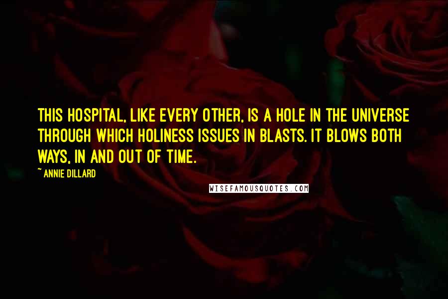 Annie Dillard Quotes: This hospital, like every other, is a hole in the universe through which holiness issues in blasts. It blows both ways, in and out of time.