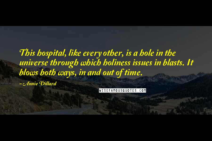 Annie Dillard Quotes: This hospital, like every other, is a hole in the universe through which holiness issues in blasts. It blows both ways, in and out of time.