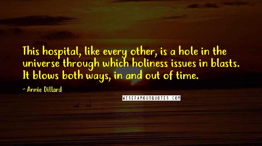 Annie Dillard Quotes: This hospital, like every other, is a hole in the universe through which holiness issues in blasts. It blows both ways, in and out of time.