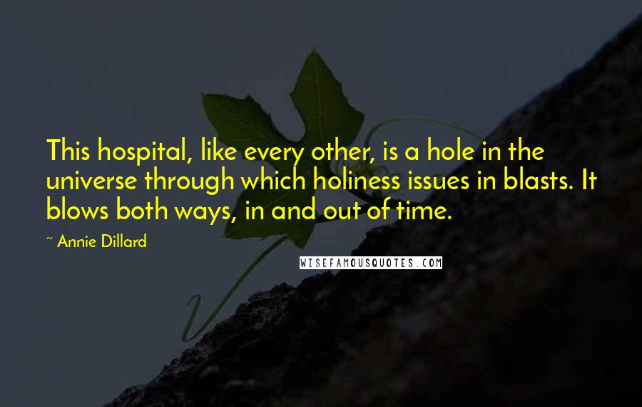 Annie Dillard Quotes: This hospital, like every other, is a hole in the universe through which holiness issues in blasts. It blows both ways, in and out of time.