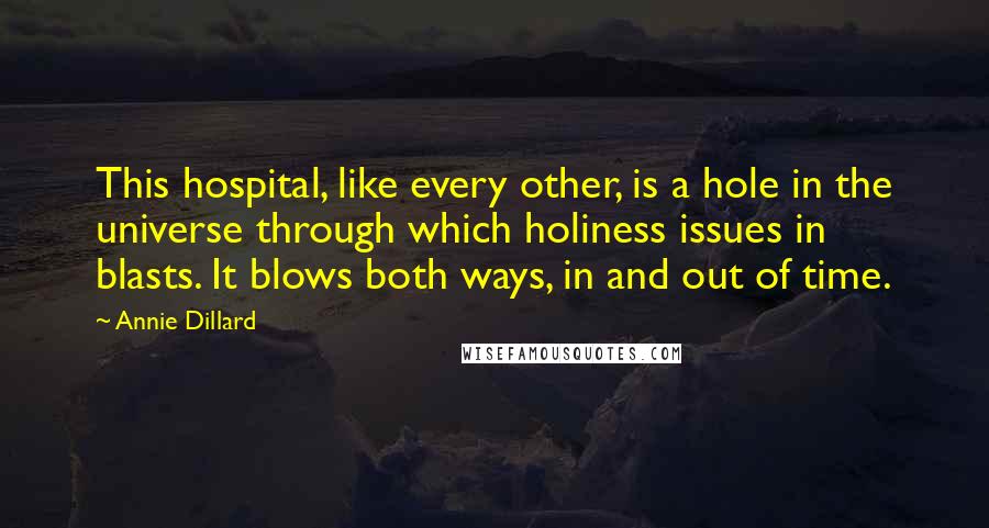 Annie Dillard Quotes: This hospital, like every other, is a hole in the universe through which holiness issues in blasts. It blows both ways, in and out of time.