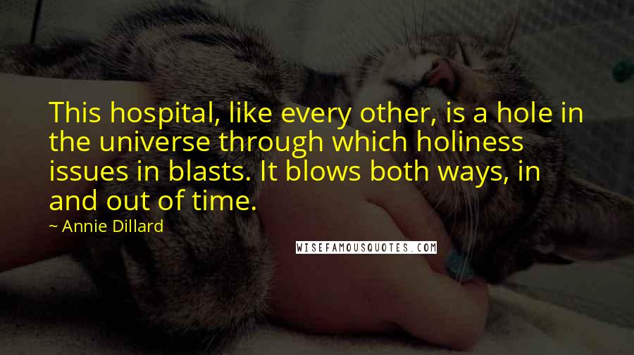 Annie Dillard Quotes: This hospital, like every other, is a hole in the universe through which holiness issues in blasts. It blows both ways, in and out of time.