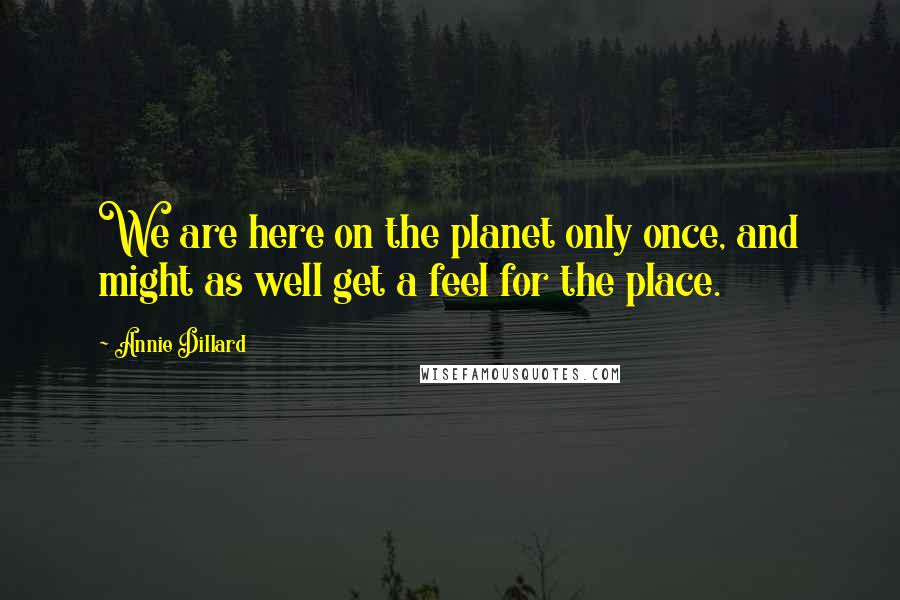 Annie Dillard Quotes: We are here on the planet only once, and might as well get a feel for the place.