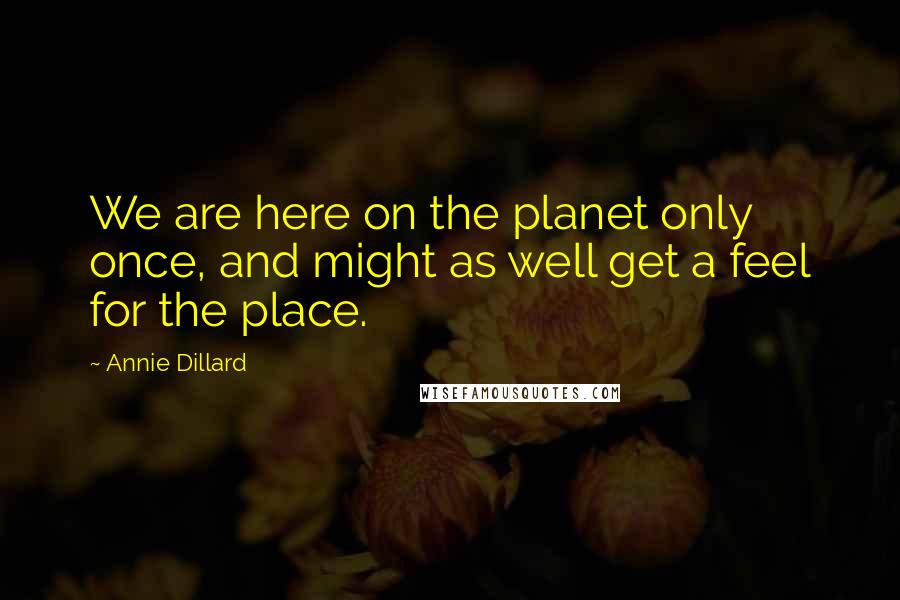 Annie Dillard Quotes: We are here on the planet only once, and might as well get a feel for the place.