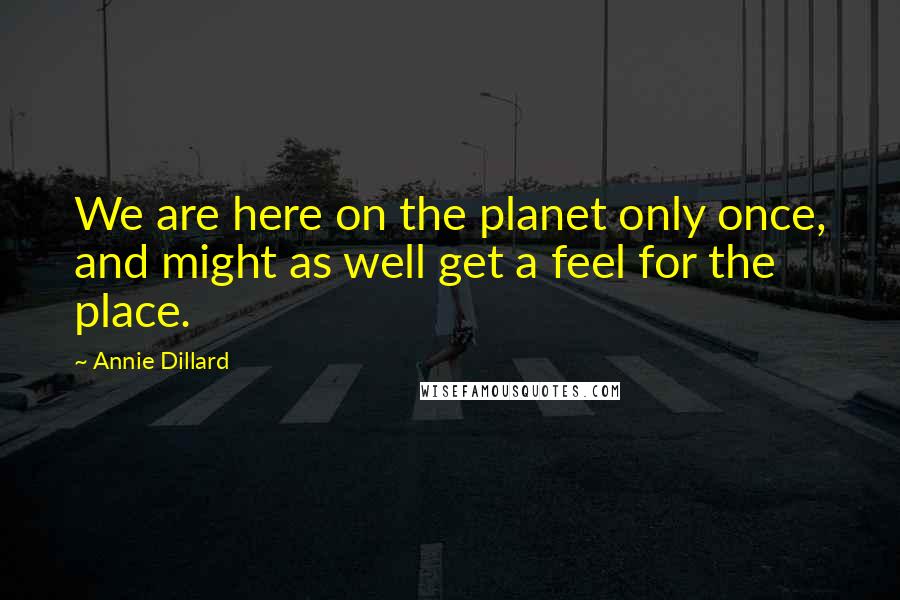 Annie Dillard Quotes: We are here on the planet only once, and might as well get a feel for the place.